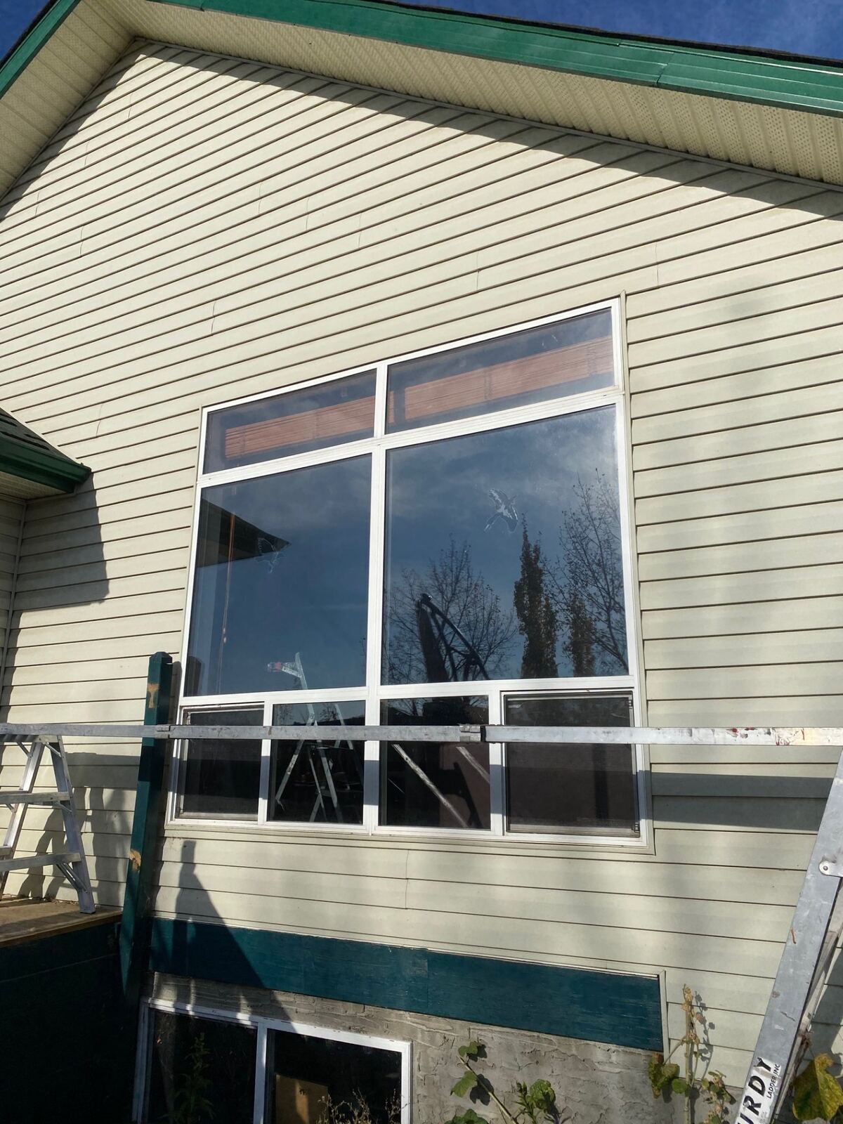 Picture & Fixed Windows